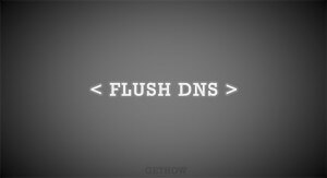 flush-dns-cache