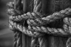 grayscale photo of rope on log