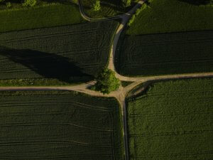 aerial view of green fields and intersection